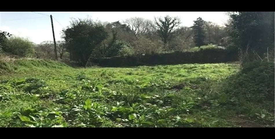 Buckleys Harraton