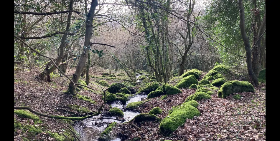 20.01 Acres of Land at Uppacott, Moretonhampstead