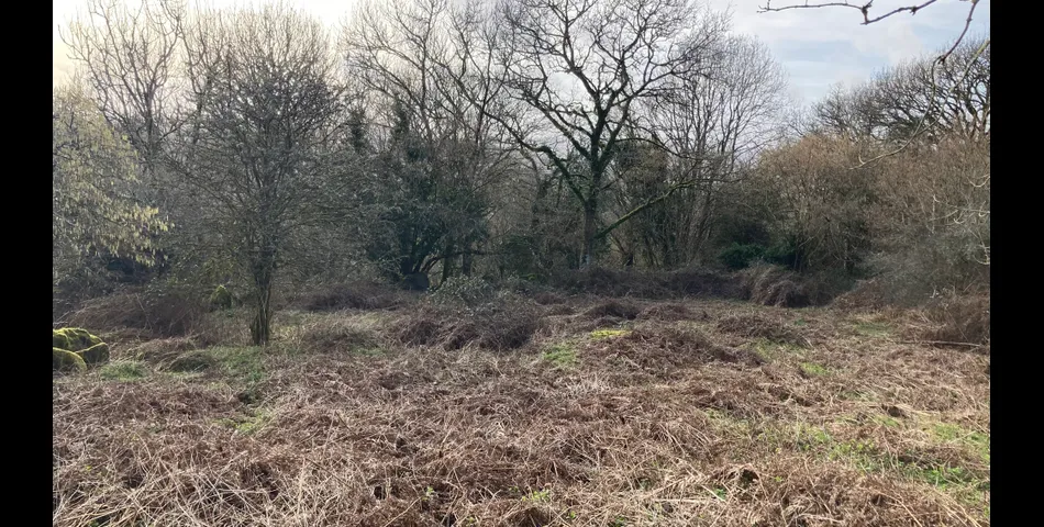 20.01 Acres of Land at Uppacott, Moretonhampstead