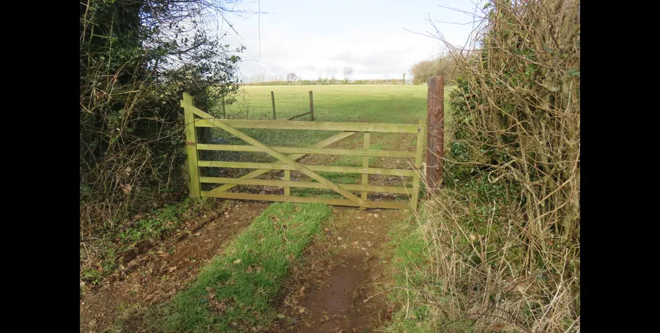 17.85 Acres of Agricultural Land, Whiddon Down, Okehampton EX20 