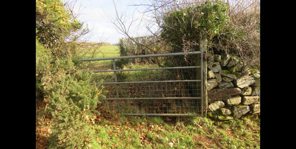 17.85 Acres of Agricultural Land, Whiddon Down, Okehampton EX20 