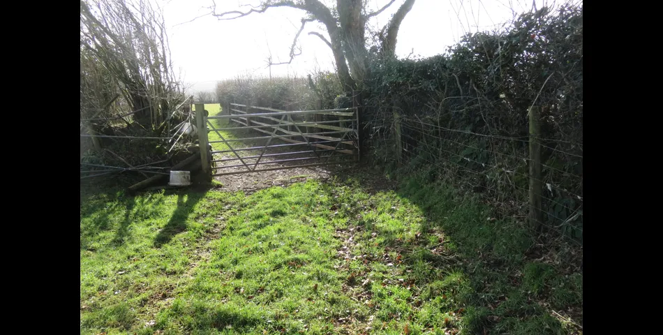 17.85 Acres of Agricultural Land, Whiddon Down, Okehampton EX20 