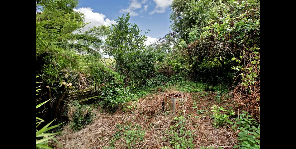 Myrtle Cottage, Eastdown, Blackawton, Totnes, Devon, TQ9 7AP 