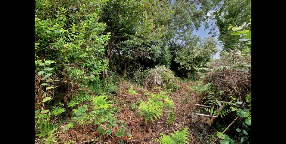 Myrtle Cottage, Eastdown, Blackawton, Totnes, Devon, TQ9 7AP 