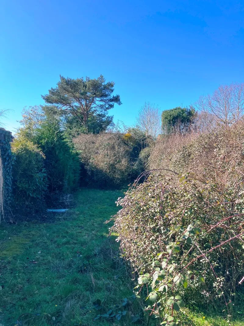 Summer Lane, Exeter