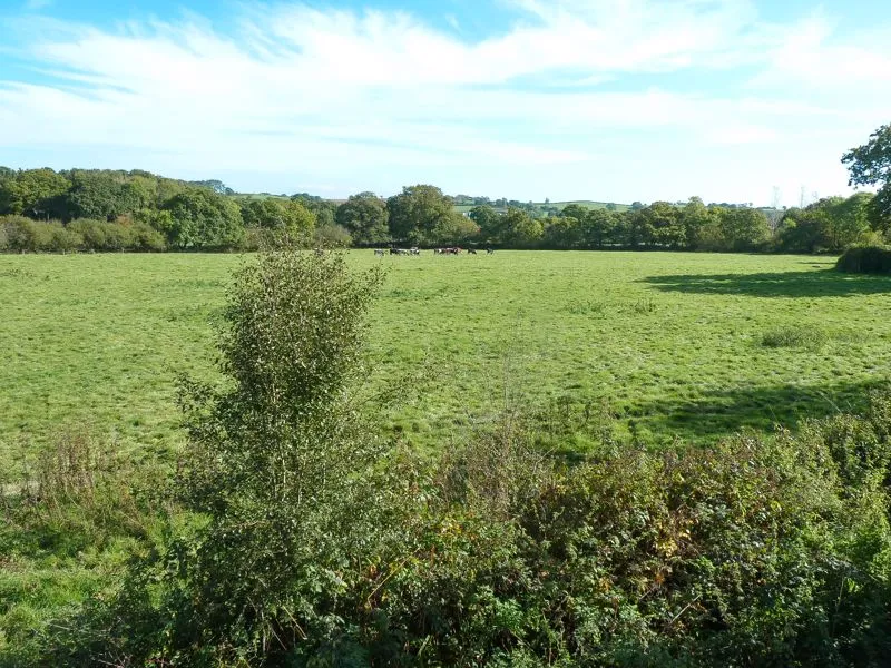 Morchard Bishop, Crediton