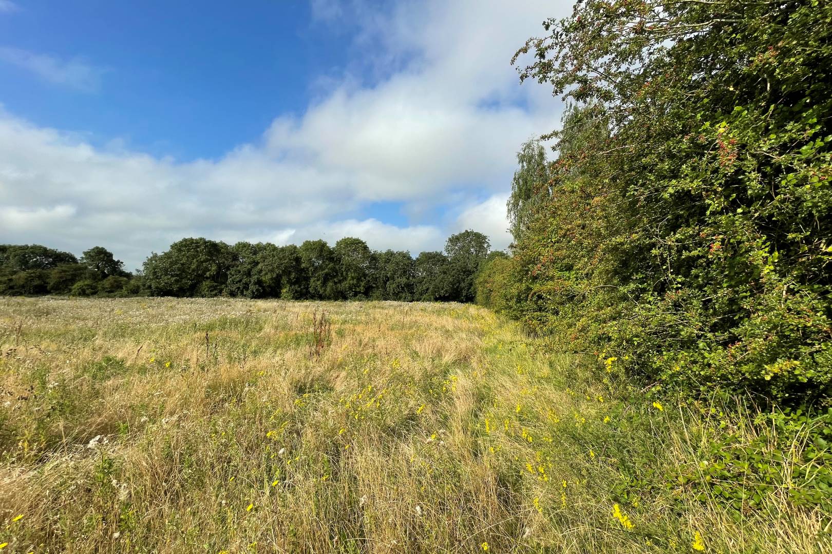 Land at Drayton Road, Newton Longville, Milton Keynes, MK17 0BD