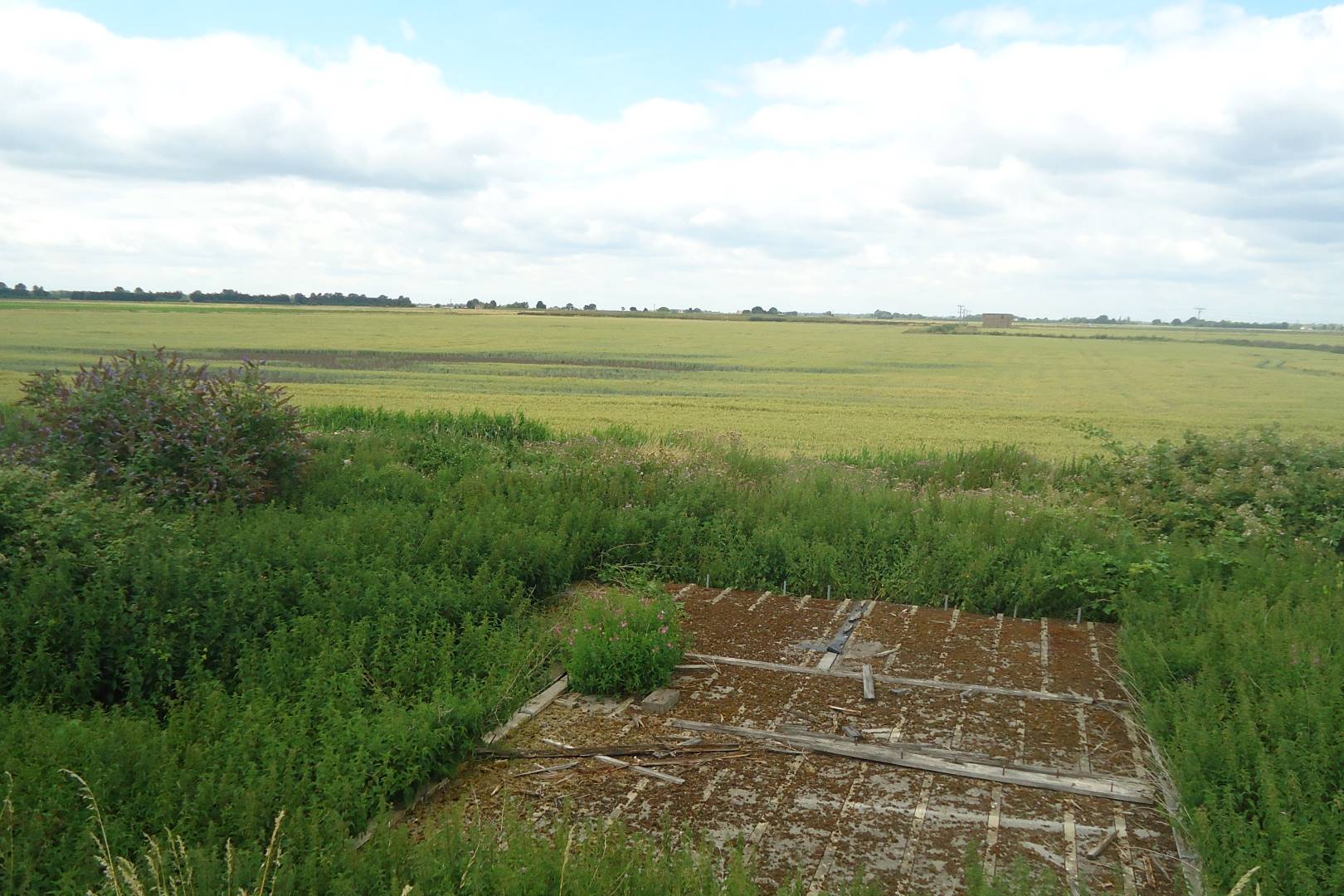 Building Plots at Purls Bridge Drove, Manea, March, PE15 0ND