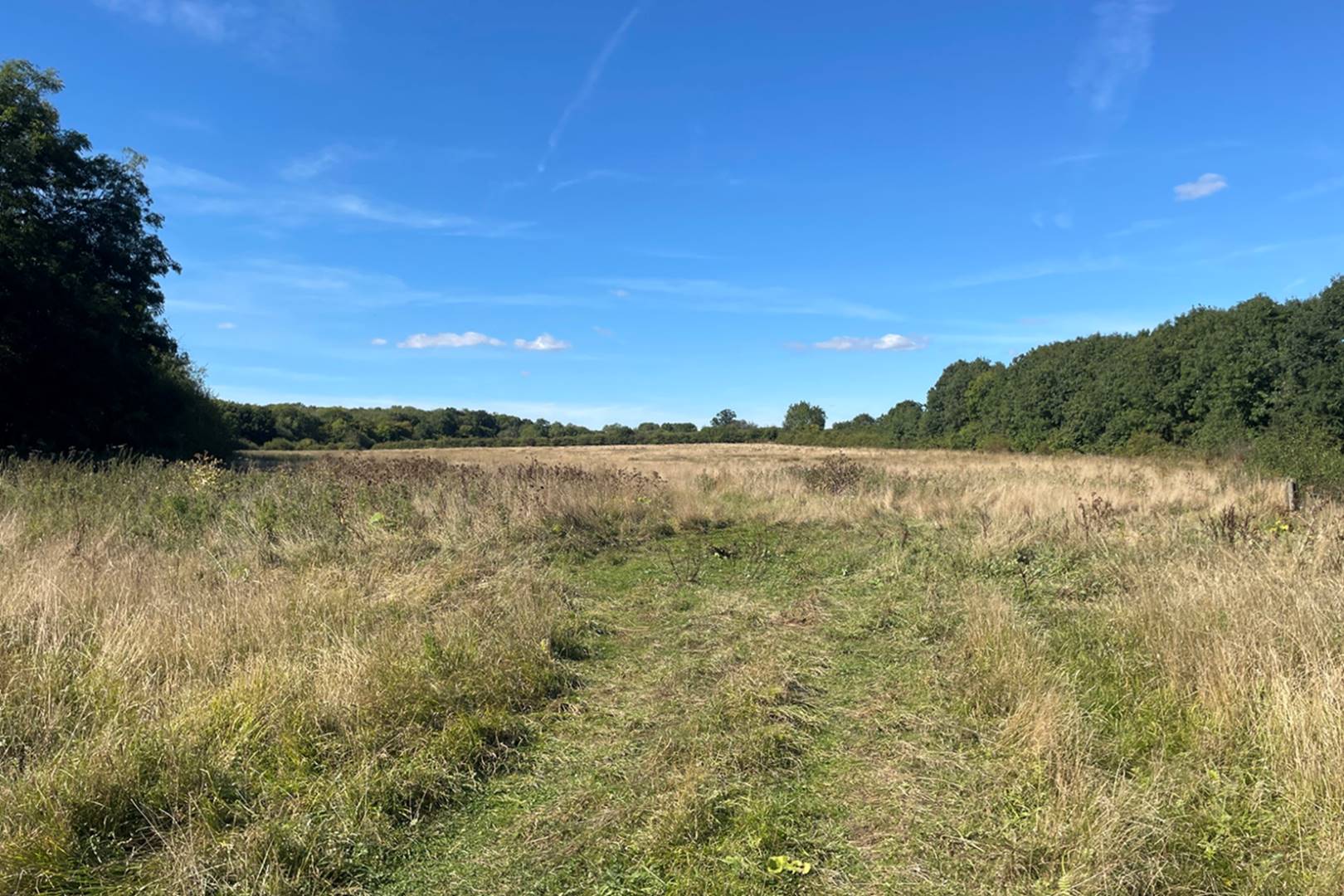 Land Opposite The Flying Fox, Woburn Road, Woburn, Milton Keynes, MK17 9HD