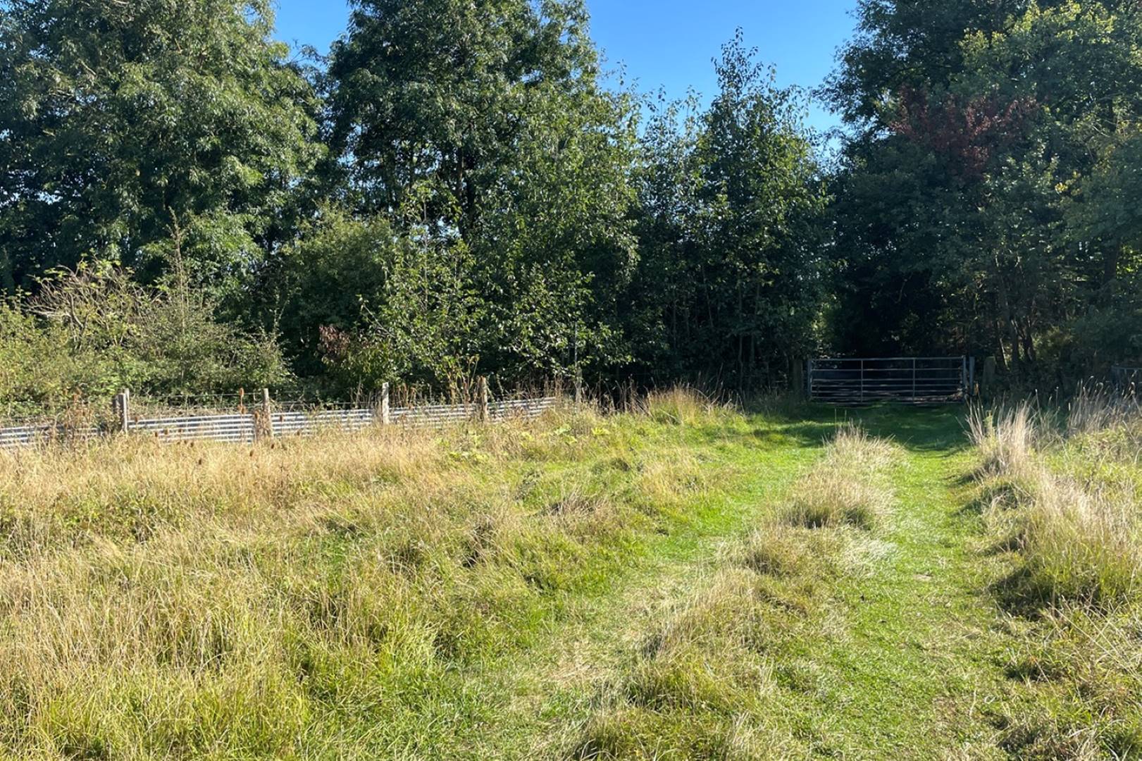 Land Opposite The Flying Fox, Woburn Road, Woburn, Milton Keynes, MK17 9HD