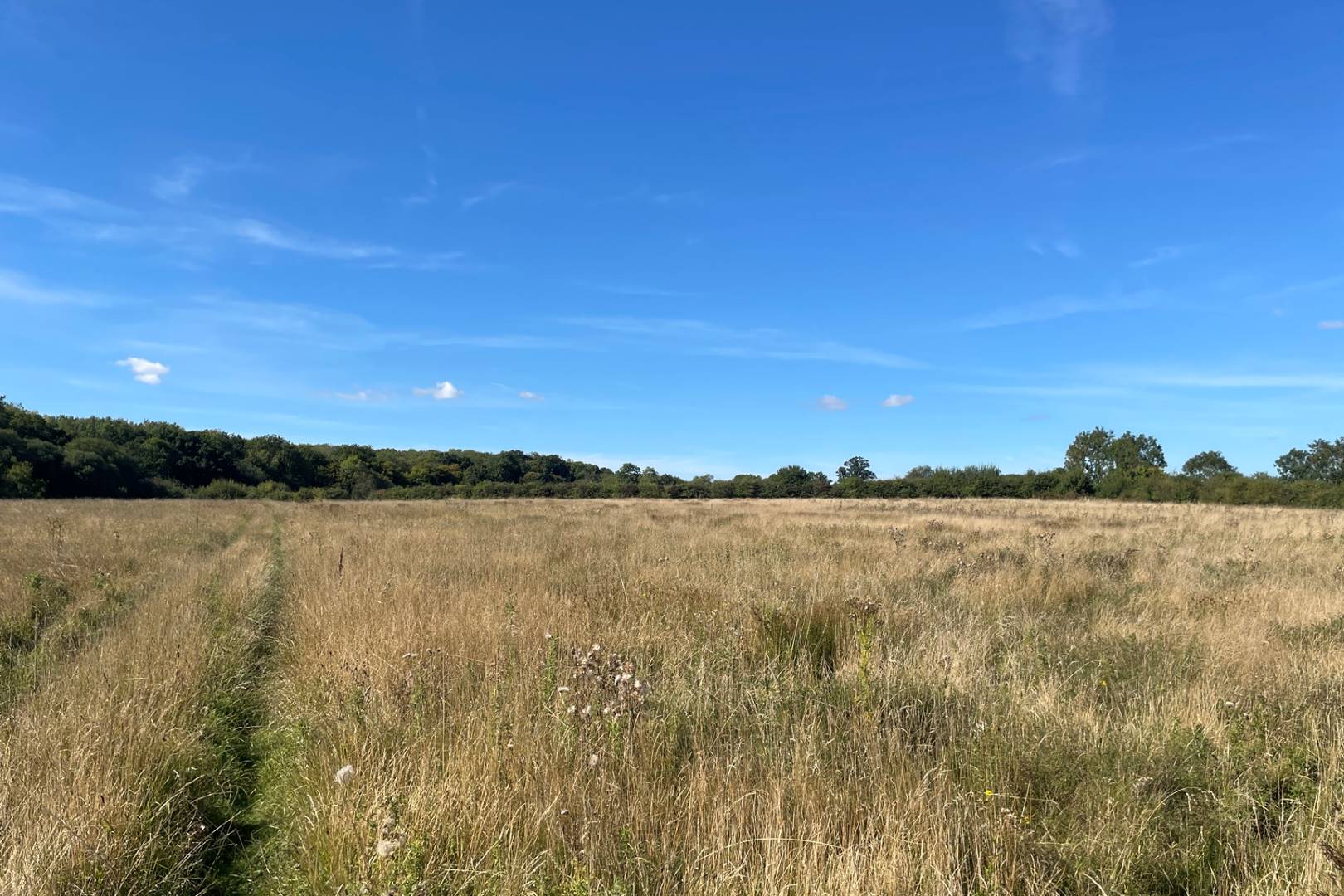 Land Opposite The Flying Fox, Woburn Road, Woburn, Milton Keynes, MK17 9HD