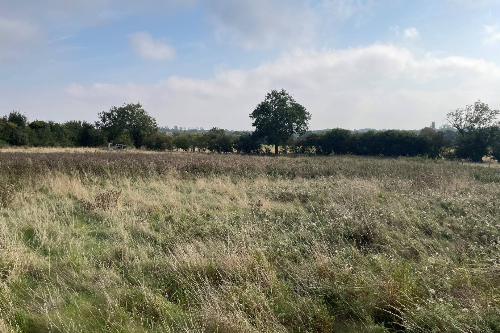 Land West Side of High Street, Sherington, Newport Pagnell, MK16 9NX