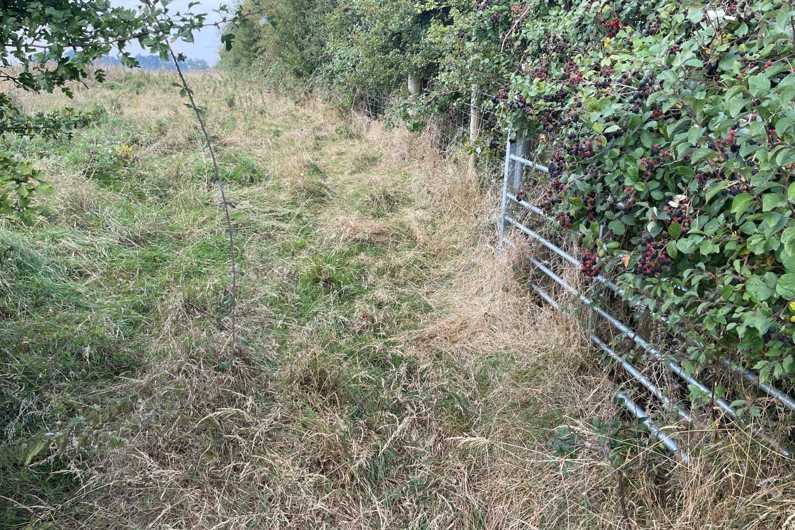 Land West Side of High Street, Sherington, Newport Pagnell, MK16 9NX