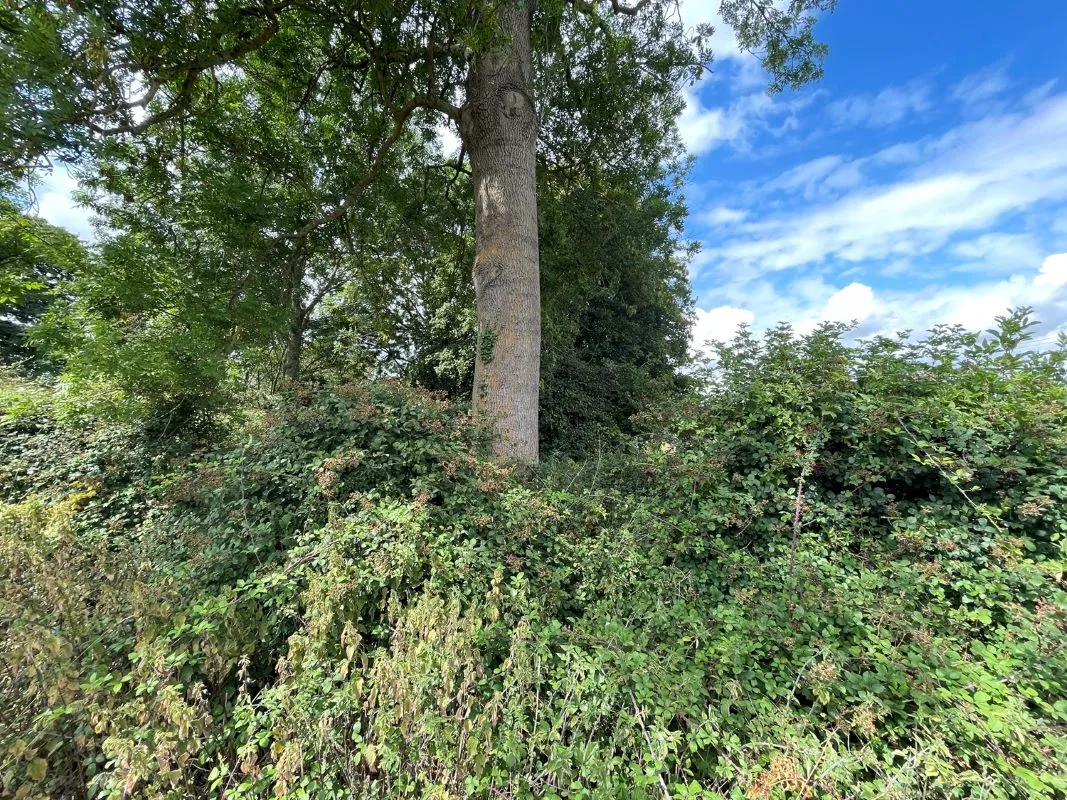 Plot 2 adjacent to 120 Chalkshire Road, Butlers Cross, Buckinghamshire, HP17 0TJ