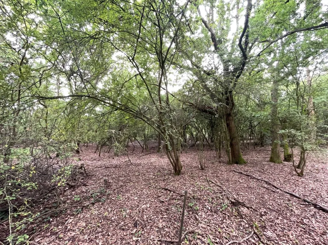 Land Opposite, 153 Box End Road, Bromham, Bedford, Bedfordshire, MK43 8LU