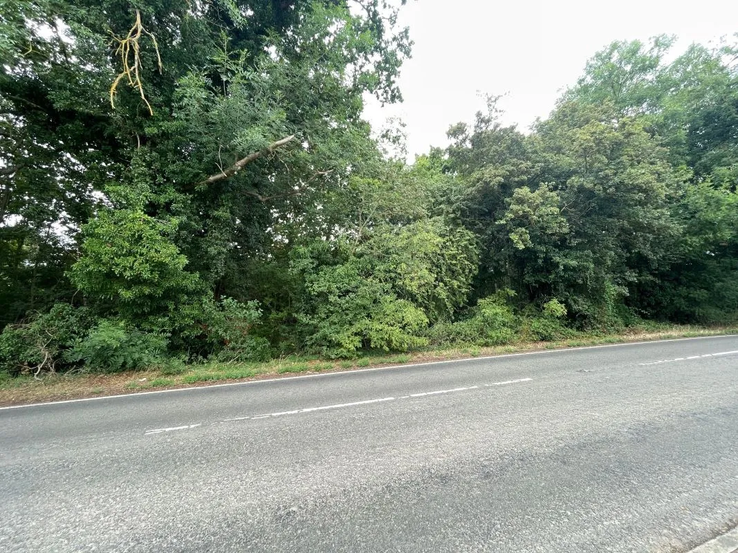 Land Opposite, 153 Box End Road, Bromham, Bedford, Bedfordshire, MK43 8LU
