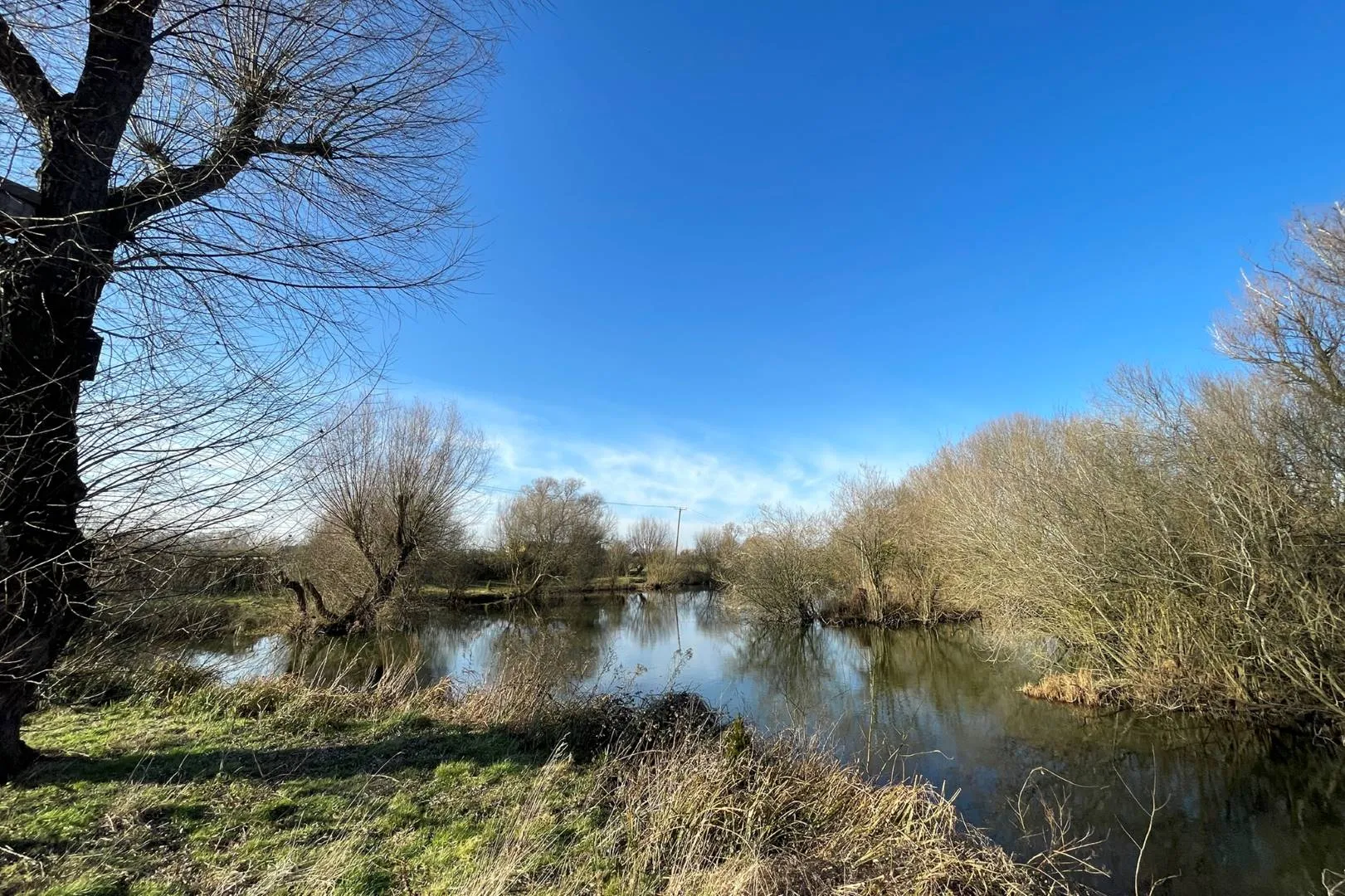 Willow Farm Fishing Lake, Bedford Road, Sandy, SG19 1ND