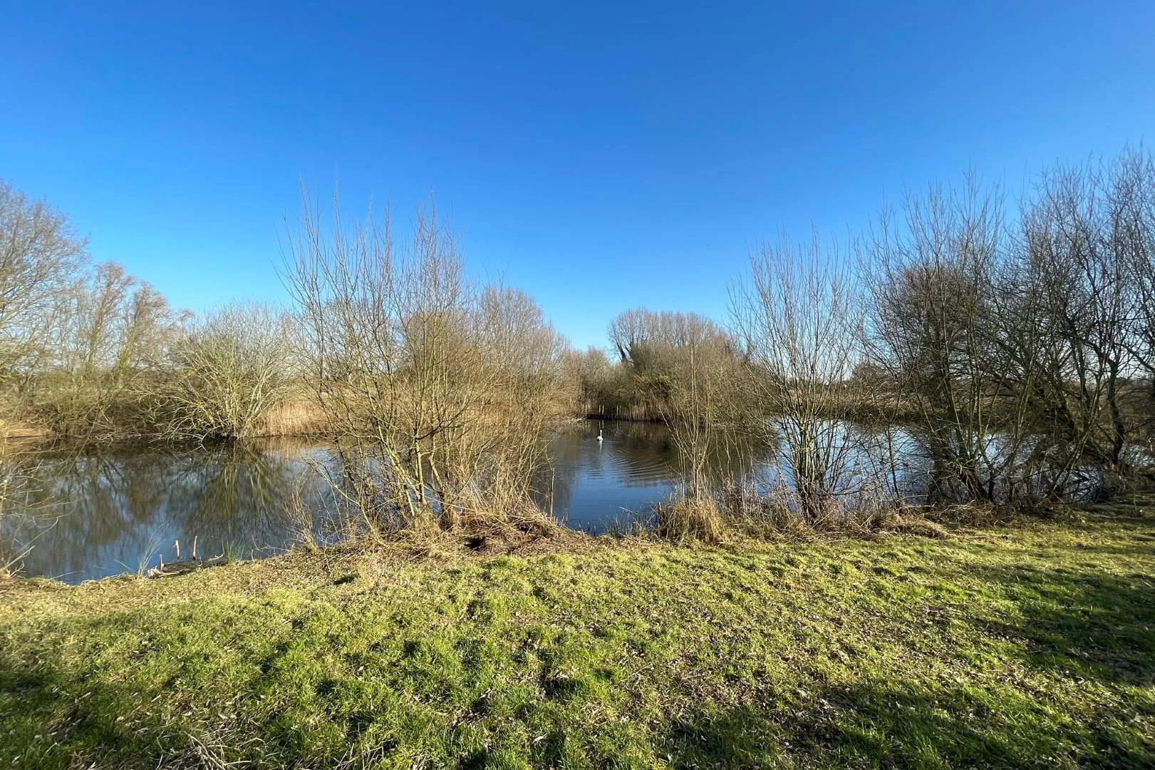 Willow Farm Fishing Lake, Bedford Road, Sandy, SG19 1ND