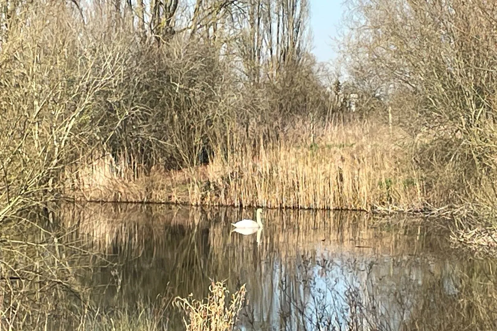 Willow Farm Fishing Lake, Bedford Road, Sandy, SG19 1ND