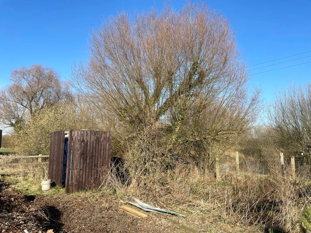 Willow Farm Fishing Lake, Bedford Road, Sandy, Bedfordshire, SG19 1ND