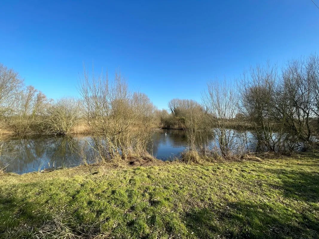 Willow Farm Fishing Lake, Bedford Road, Sandy, Bedfordshire, SG19 1ND