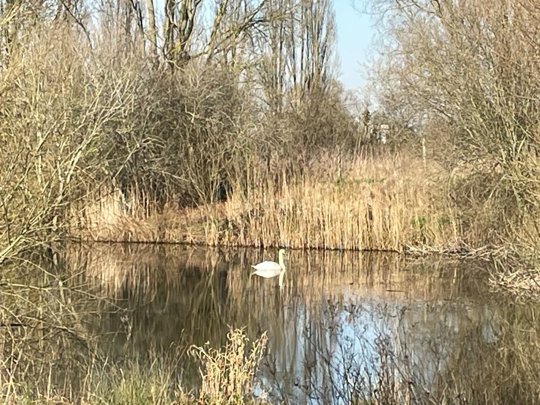 Willow Farm Fishing Lake, Bedford Road, Sandy, Bedfordshire, SG19 1ND