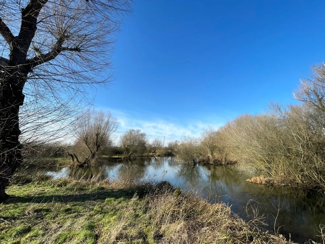 Willow Farm Fishing Lake, Bedford Road, Sandy, Bedfordshire, SG19 1ND