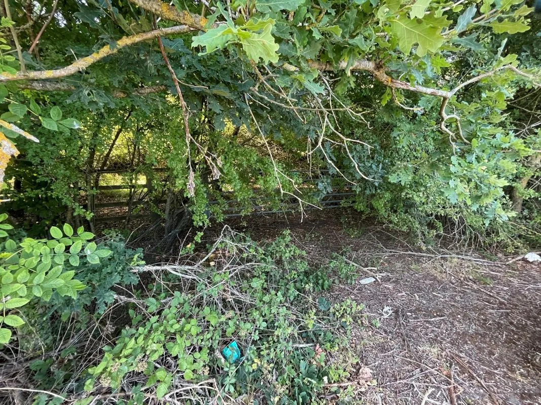 Land at Oxford Road, Wendlebury, Oxfordshire, OX25 3QE