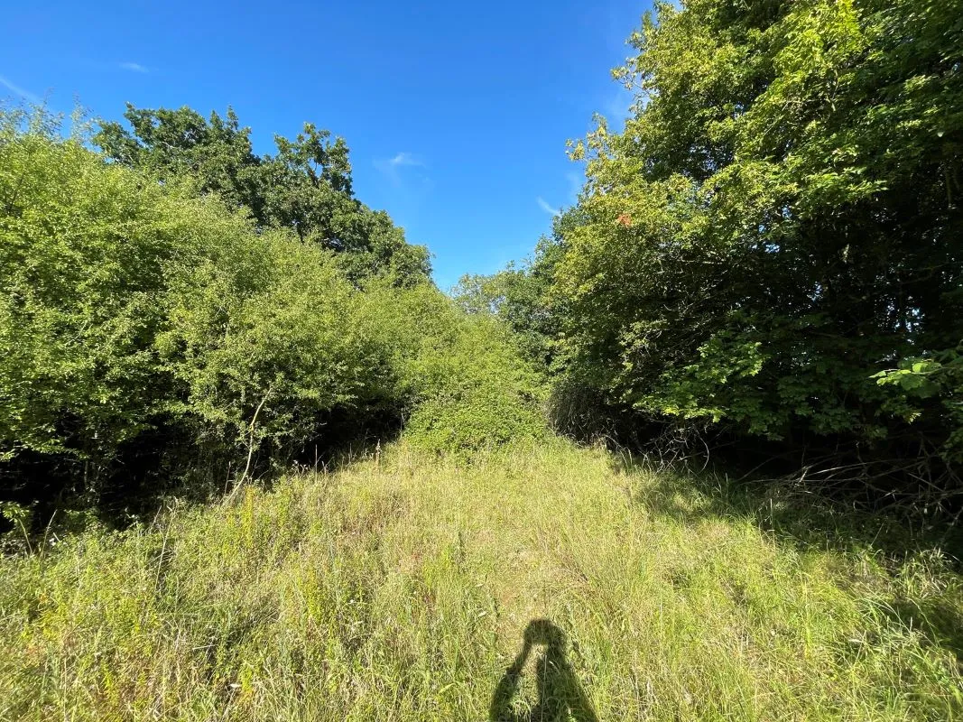Land at Oxford Road, Wendlebury, Oxfordshire, OX25 3QE