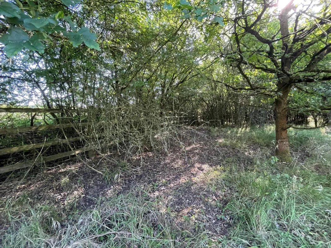 Land at Oxford Road, Wendlebury, Oxfordshire, OX25 3QE