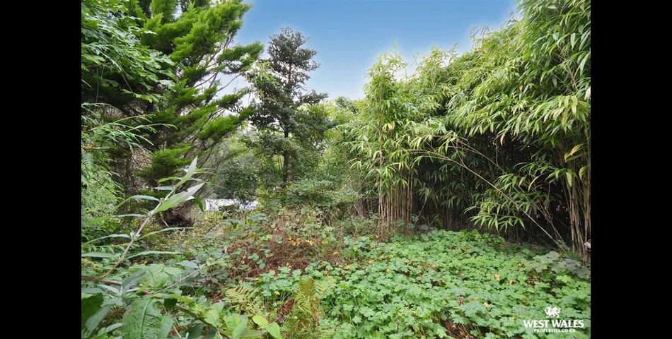 Semi Detached Property for Renovation - Cardiagn (SA43)