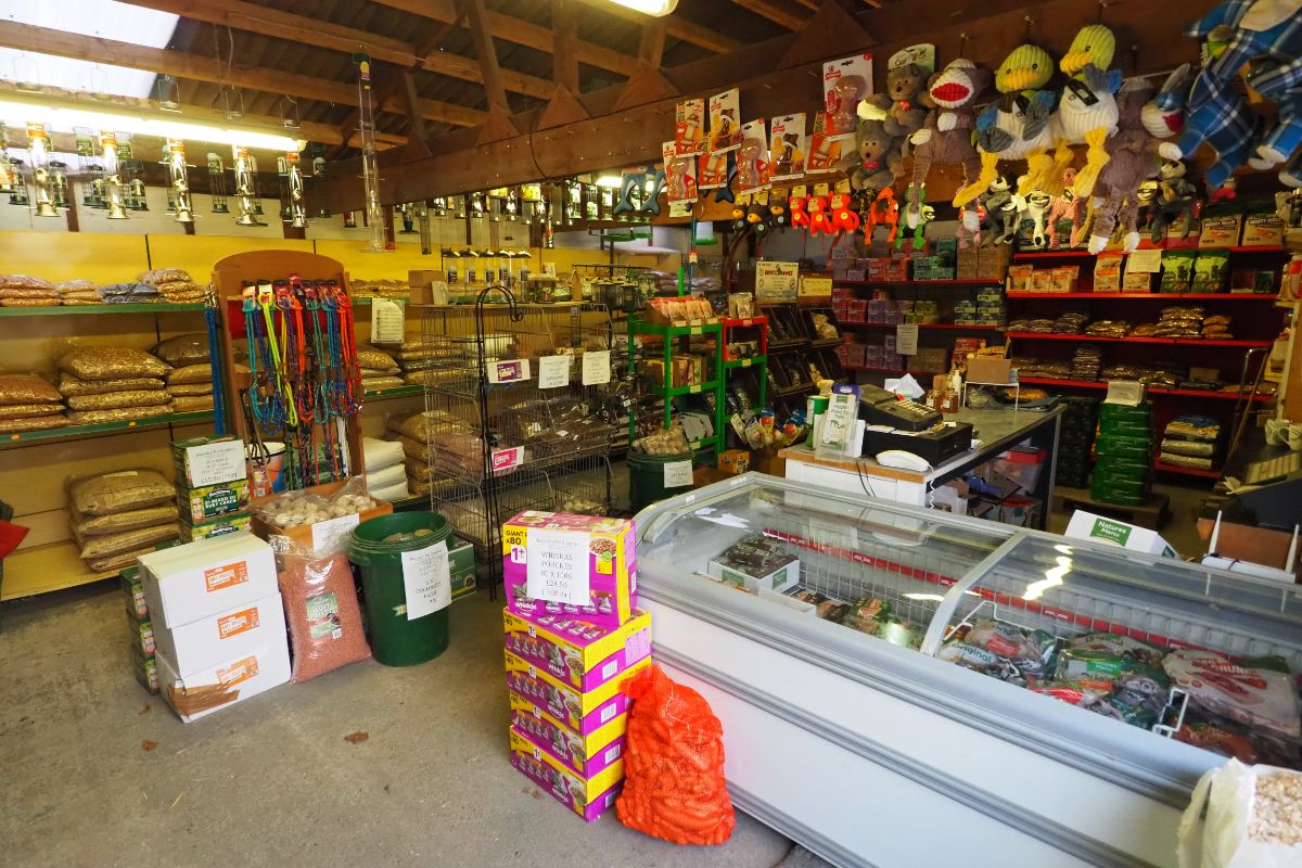 Kings Farm, Dorking Road, Kingsfold, RH12 3SA 