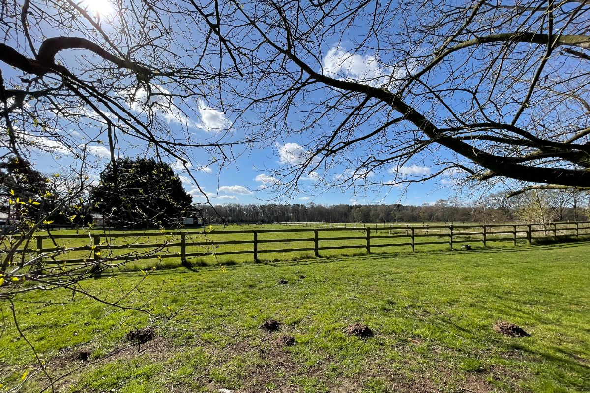 Brackenwood, Sandy Lane, Horsford, Norwich NR10 3EB