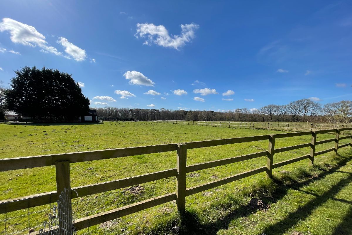 Brackenwood, Sandy Lane, Horsford, Norwich NR10 3EB