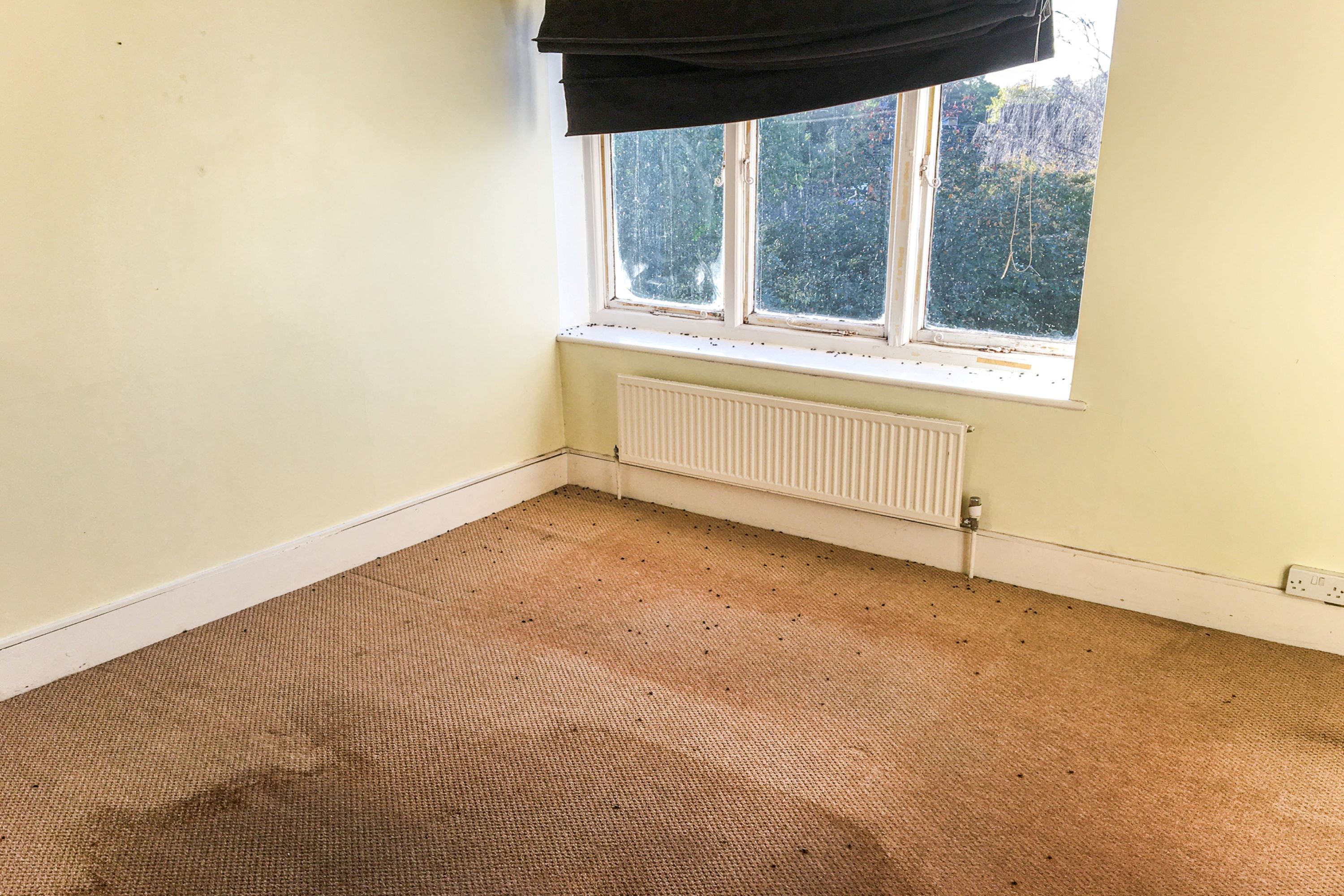 Flat 4B, 23 Burnt Ash Lane, Bromley, Kent, BR1 4DJ