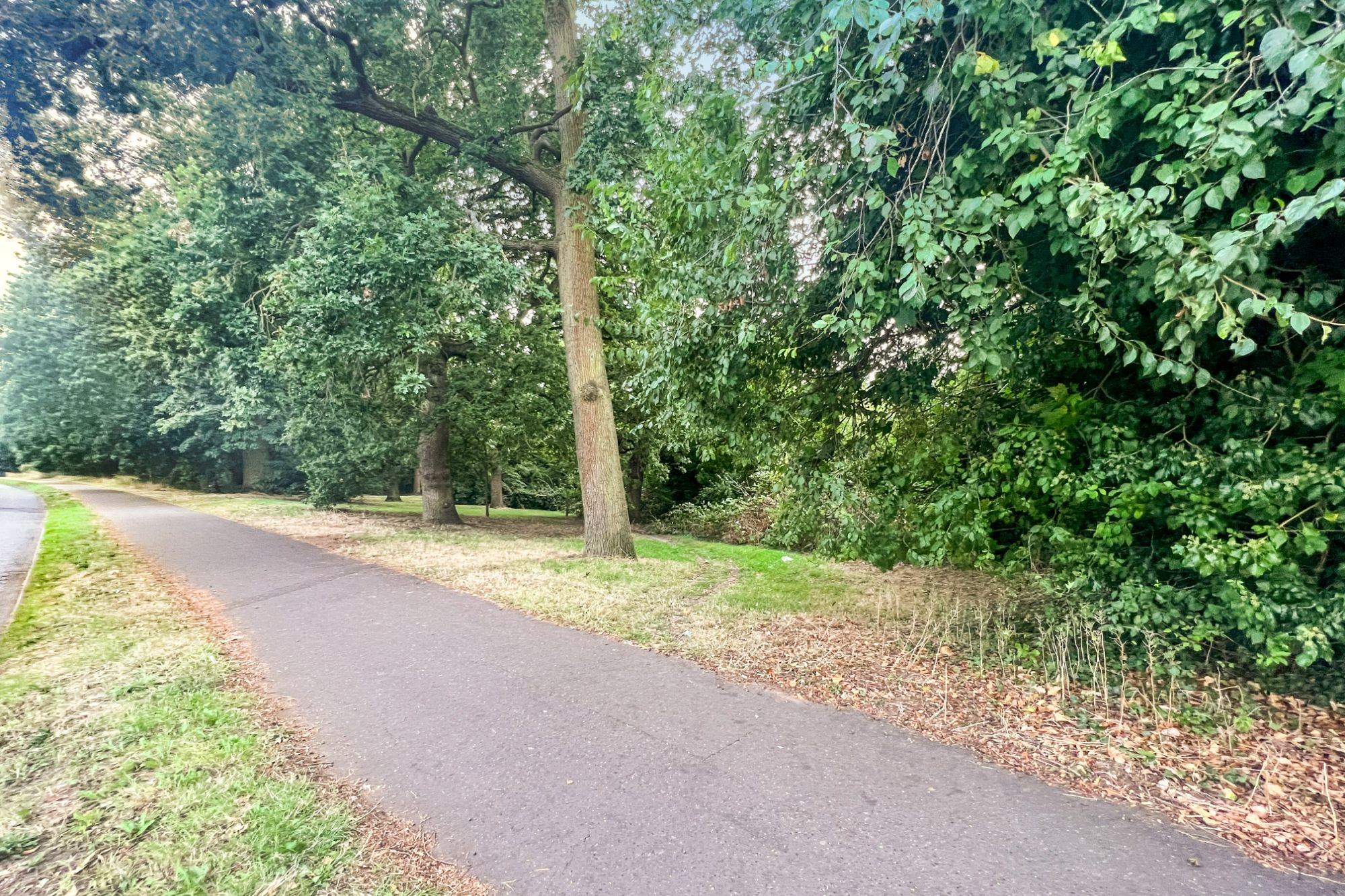 The Chestnuts Land - 101 Earlham Green Lane, Norwich, NR5 8HA