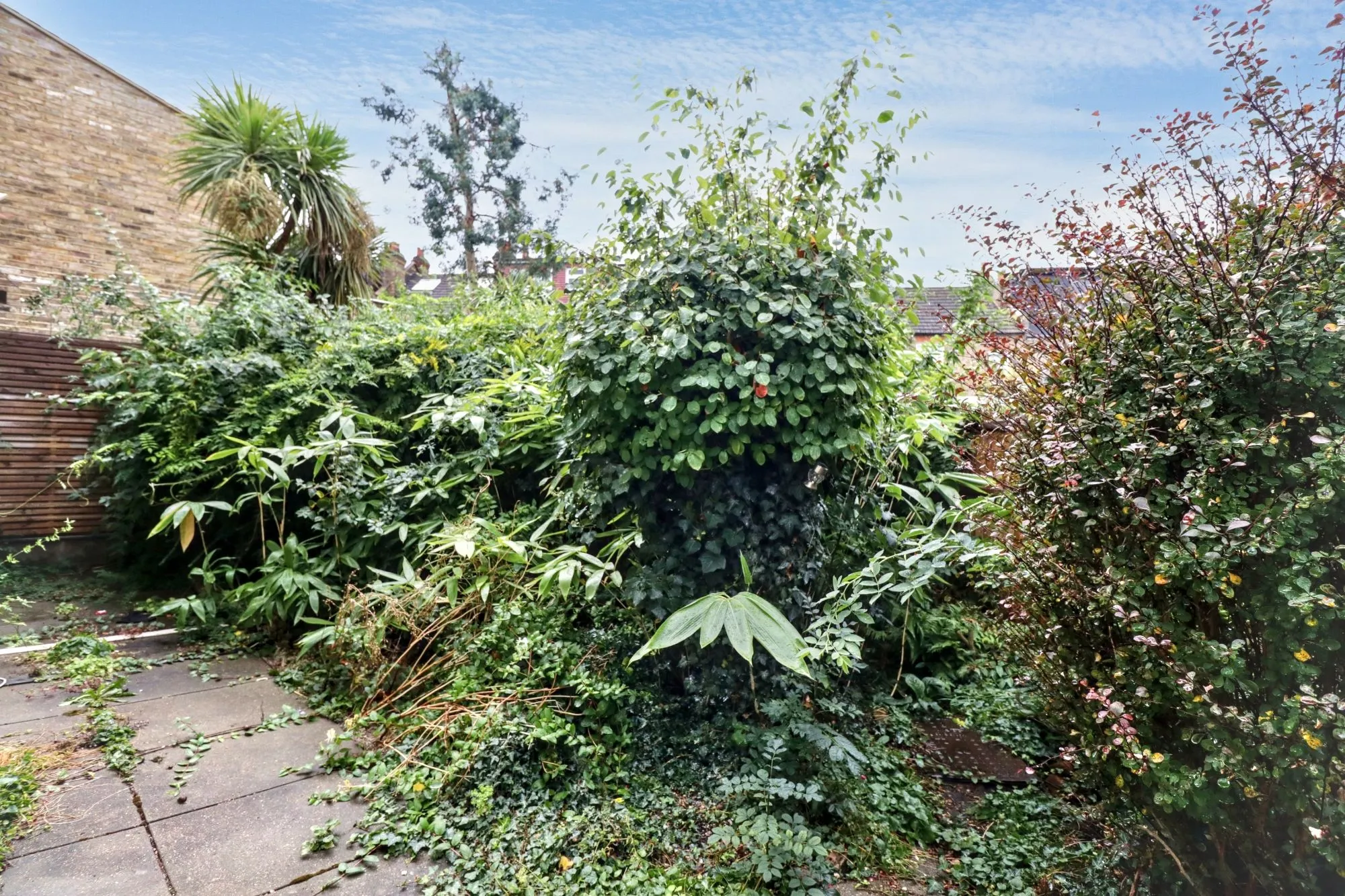 GFF & FFF, 11 Cavendish Drive, Leytonstone, London, E11 1DN