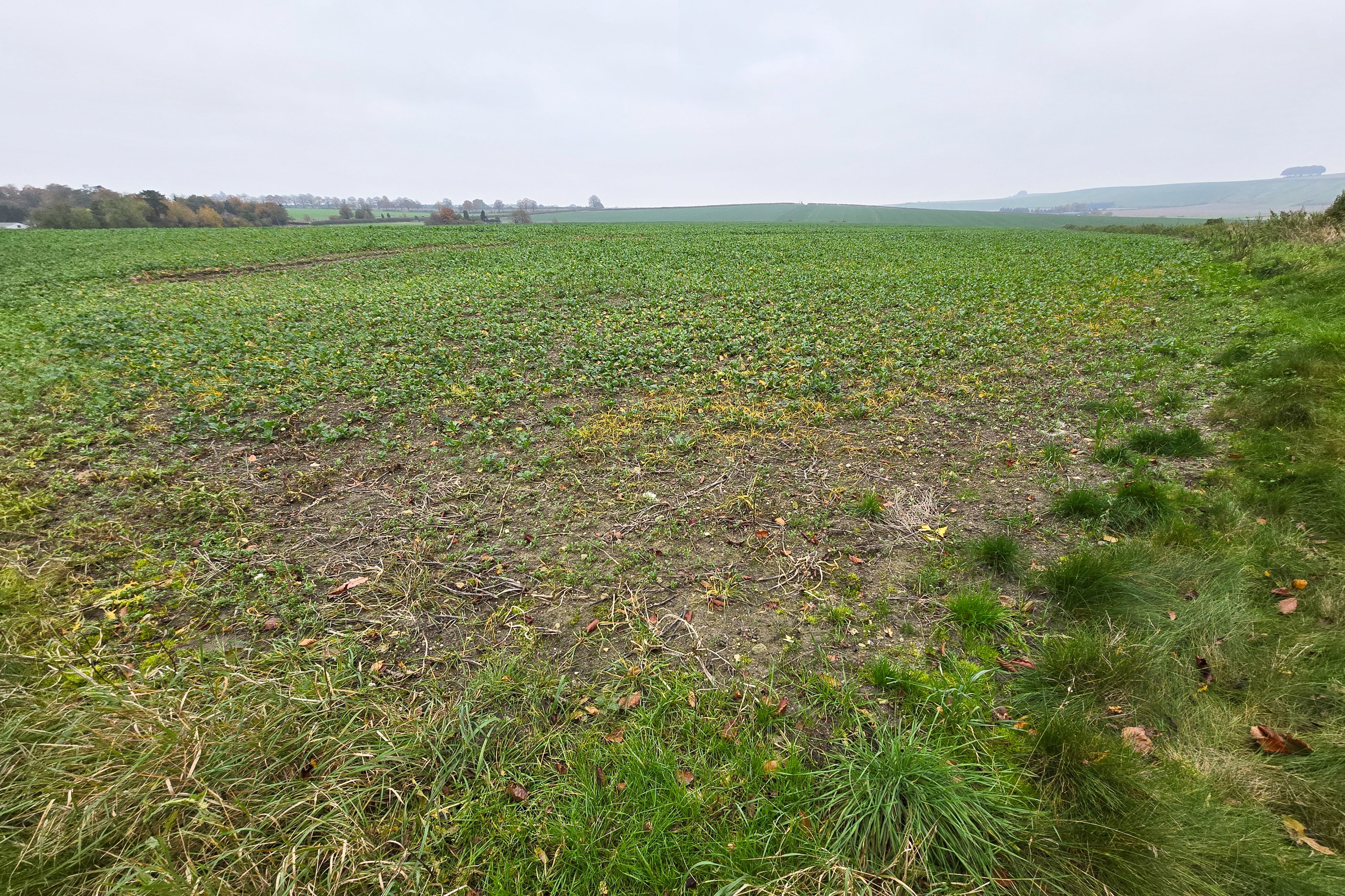 Hackpen Hill, Broad Hinton , Swindon SN4 9NR