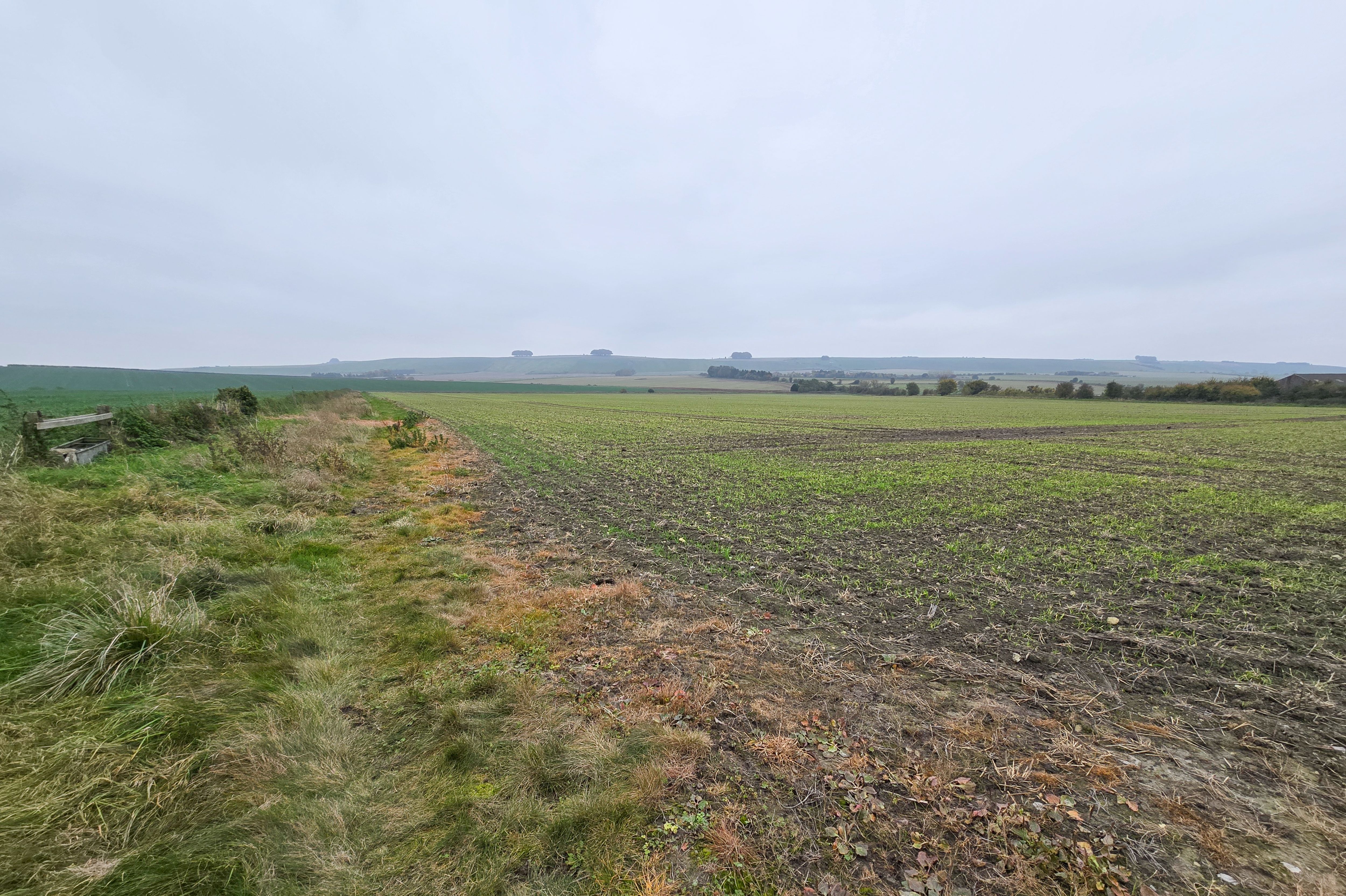 Hackpen Hill, Broad Hinton , Swindon SN4 9NR