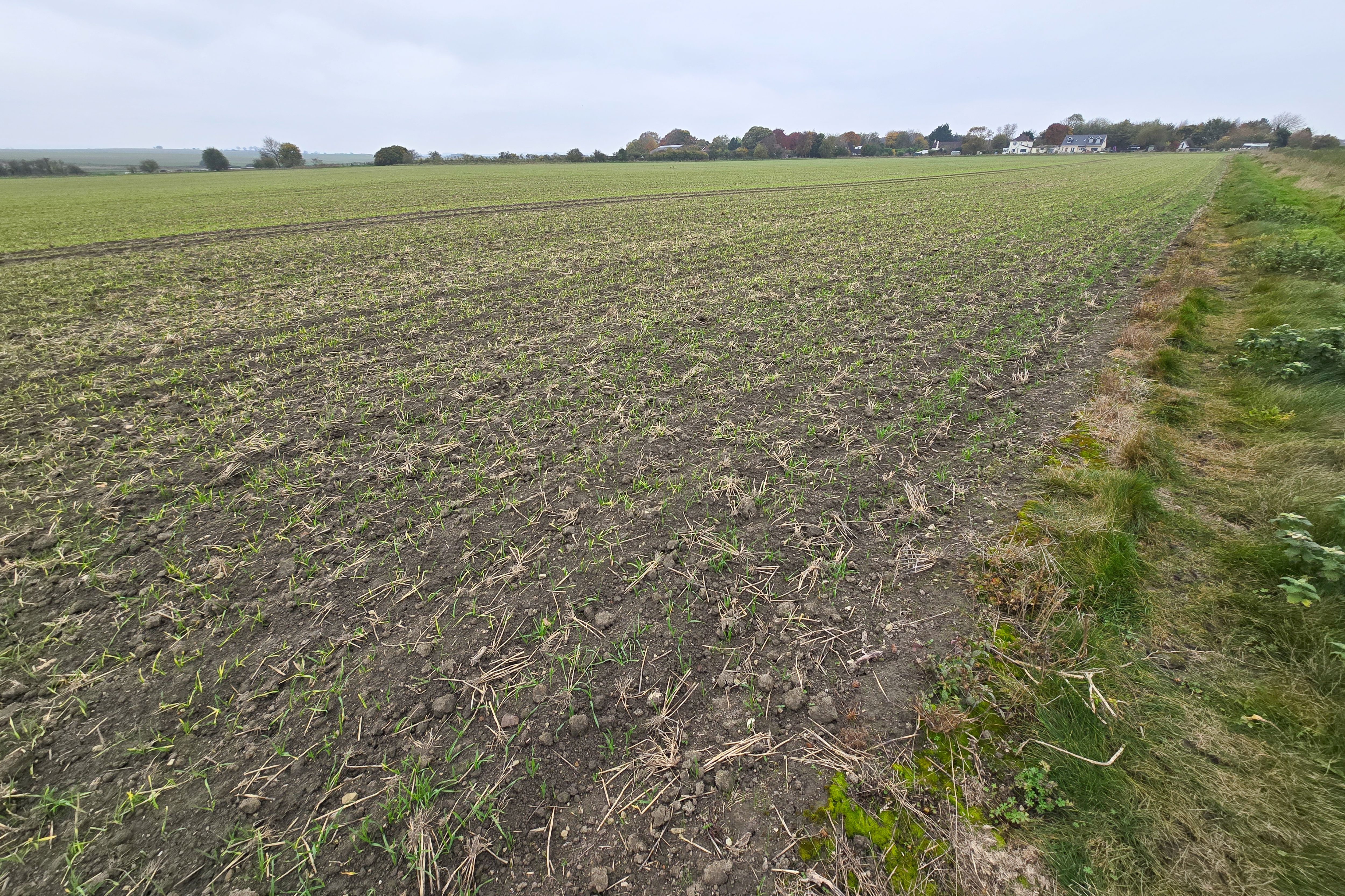 Hackpen Hill, Broad Hinton , Swindon SN4 9NR