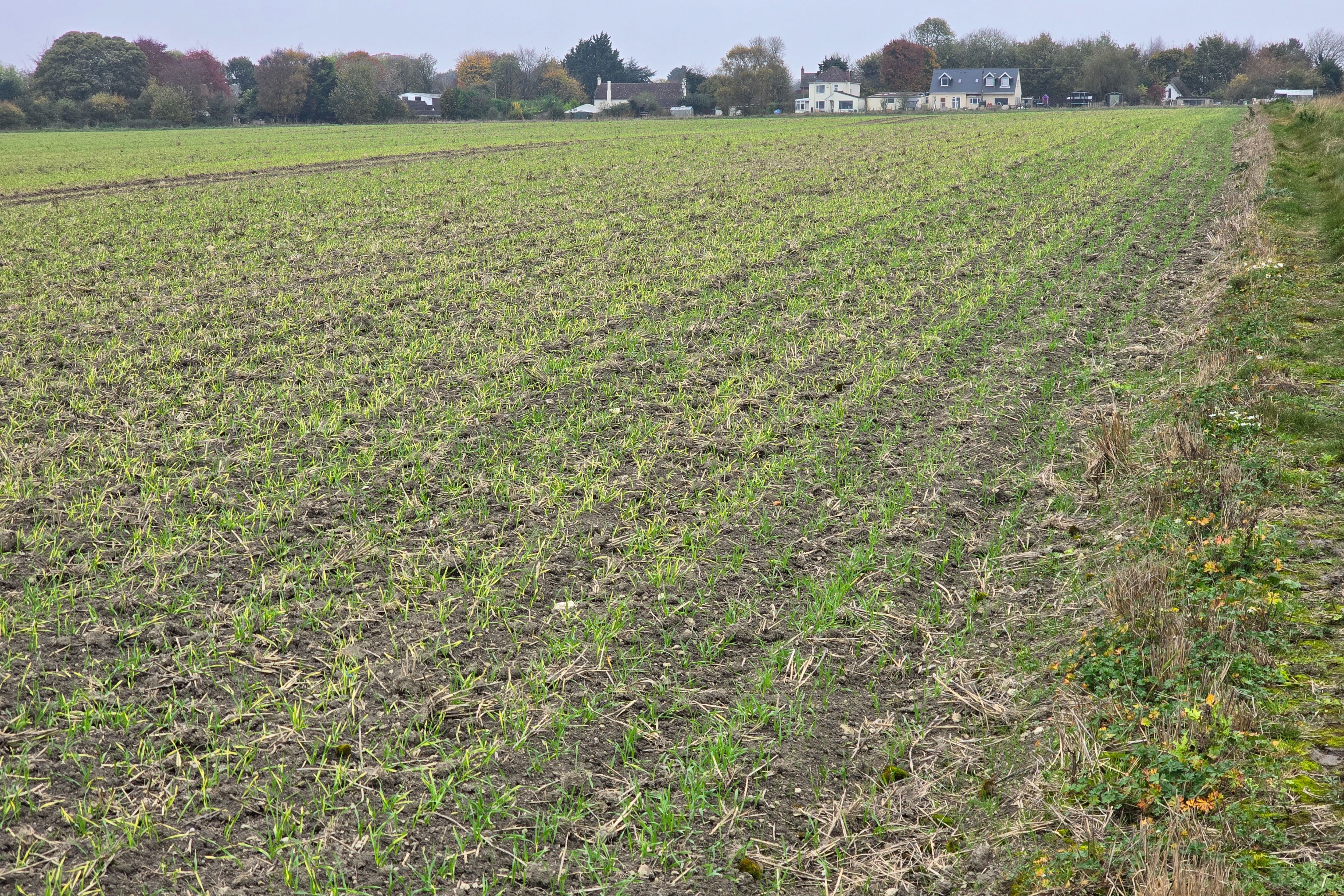 Hackpen Hill, Broad Hinton , Swindon SN4 9NR