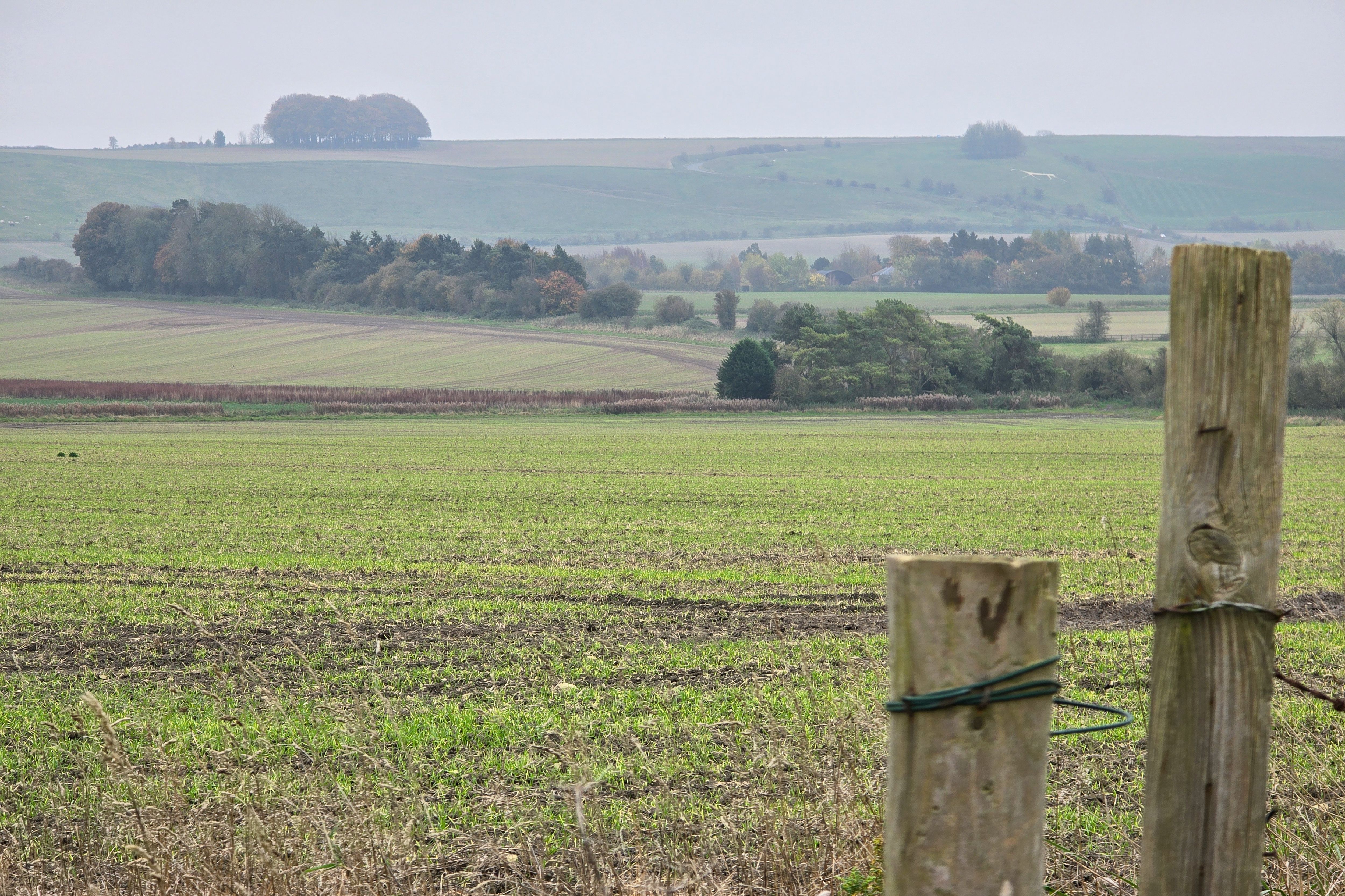Hackpen Hill, Broad Hinton , Swindon SN4 9NR