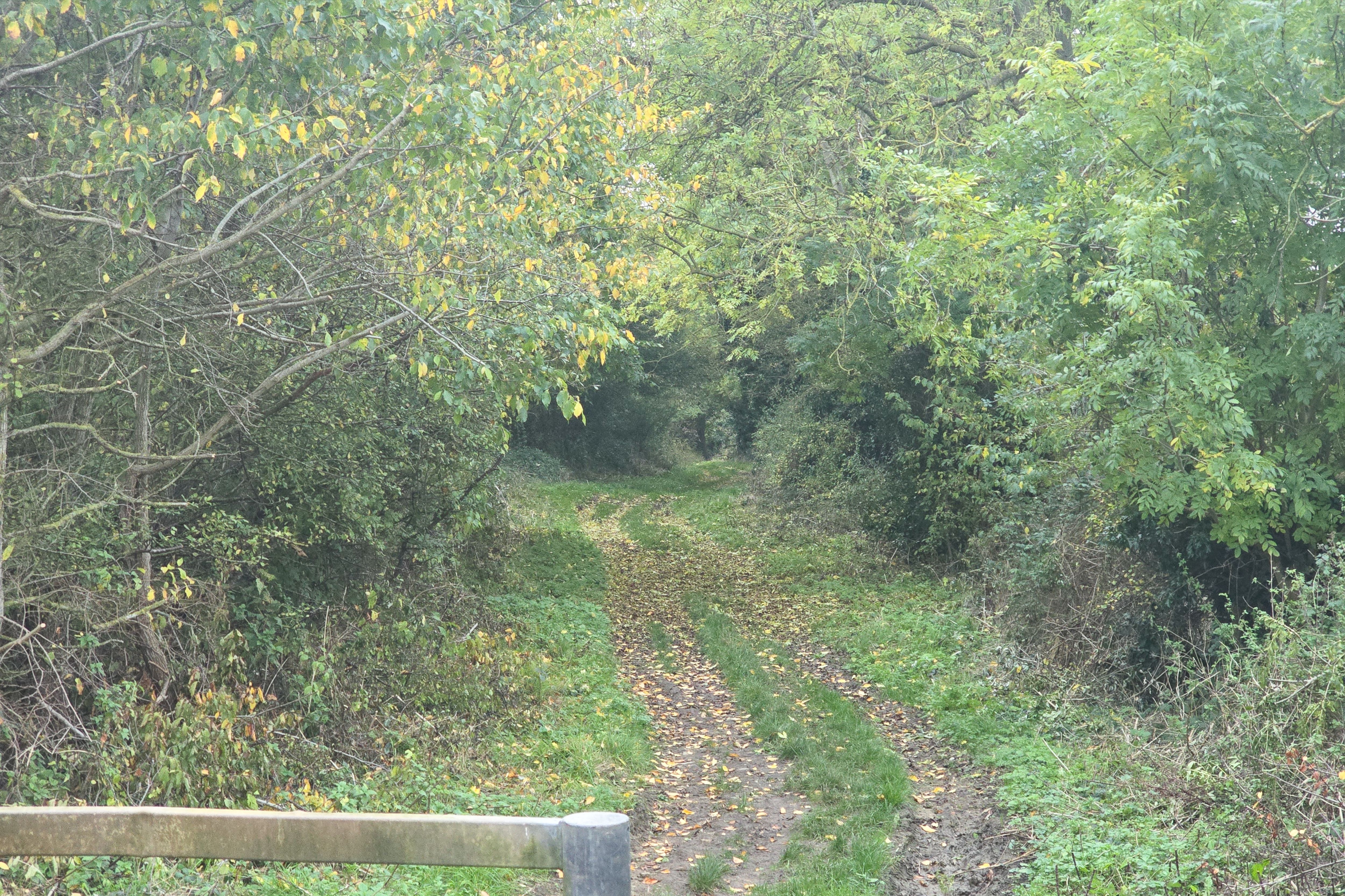 Land at Farndish, Wellingborough NN29 7HJ