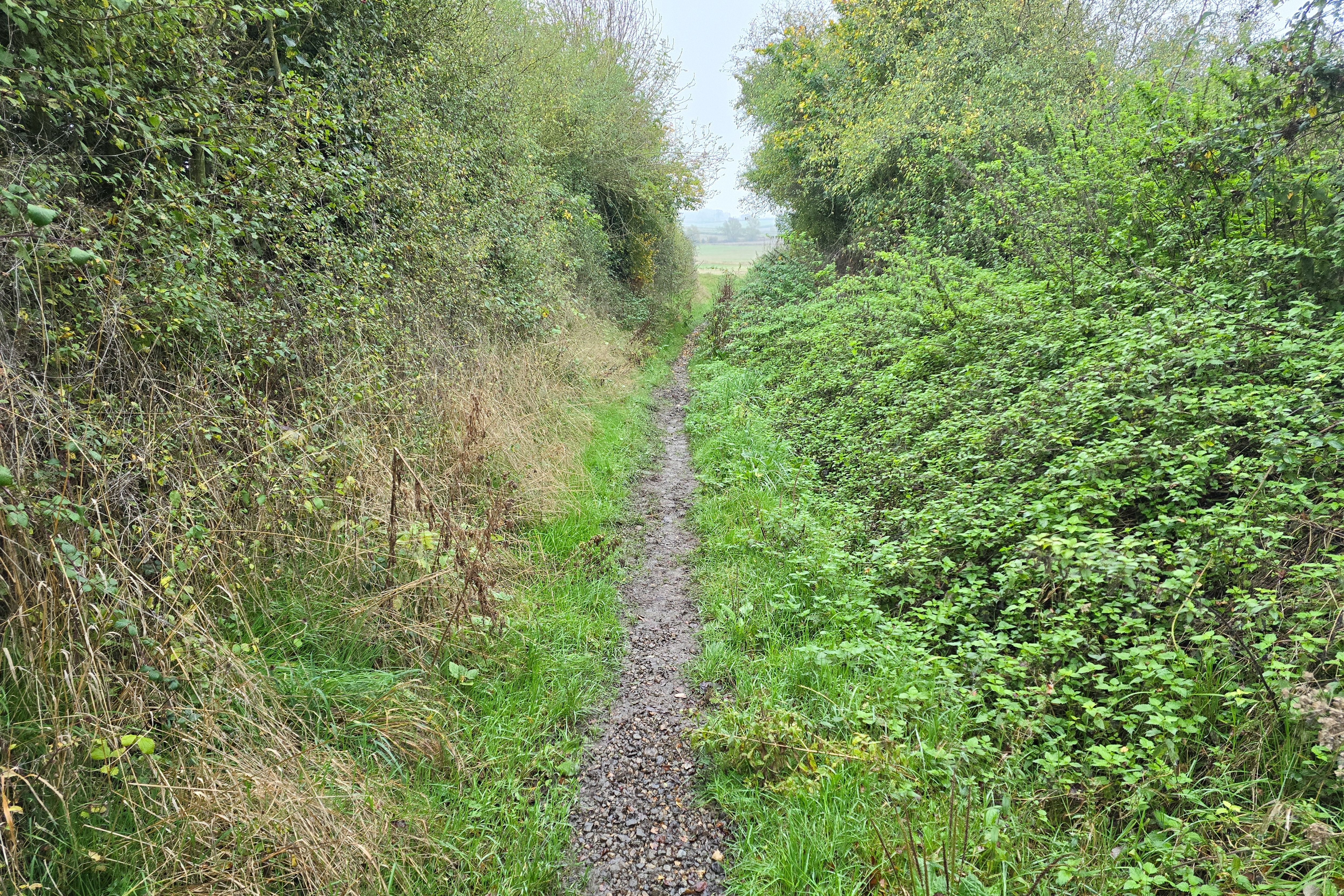 Land at Farndish, Wellingborough NN29 7HJ