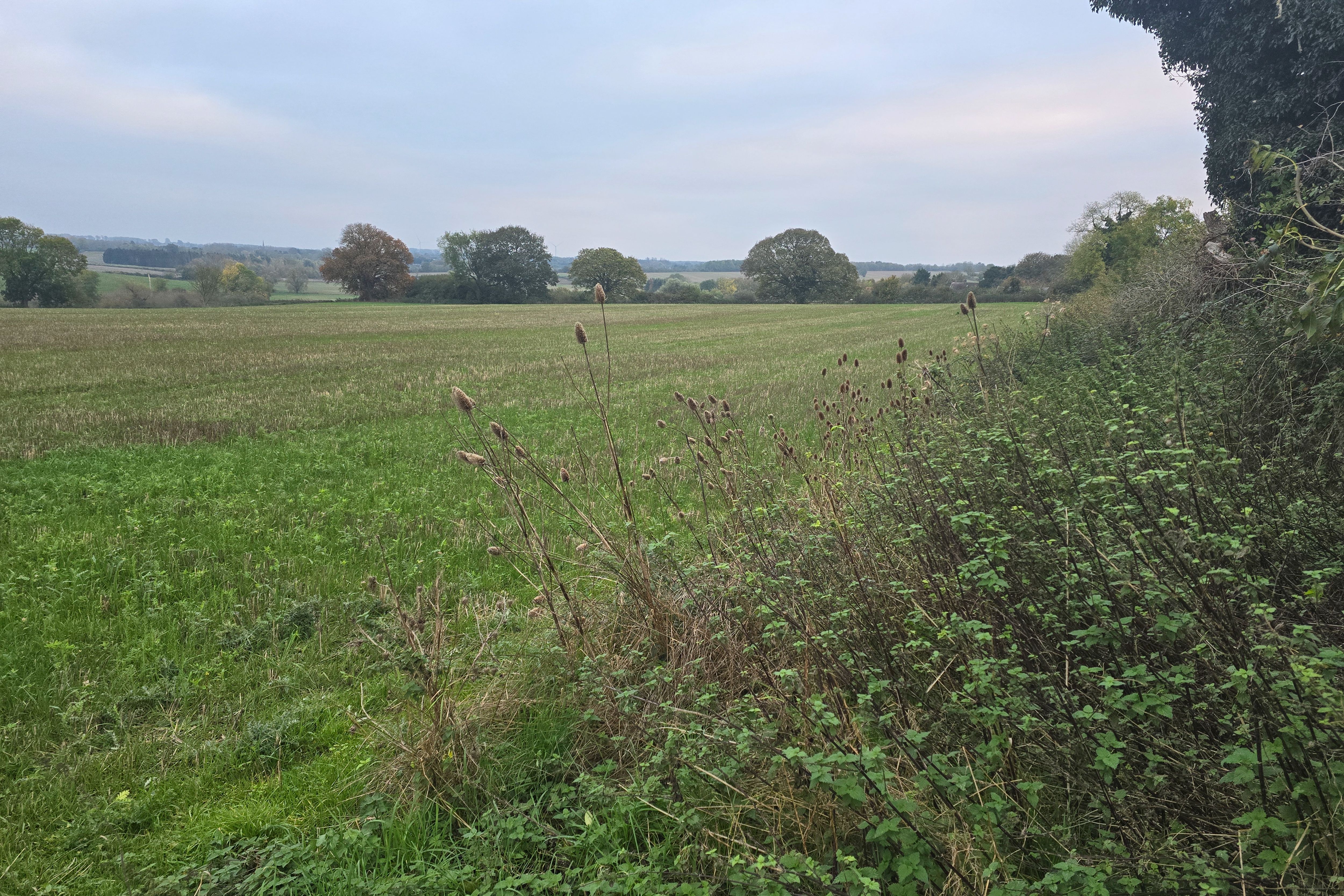 Land at Farndish, Wellingborough NN29 7HJ