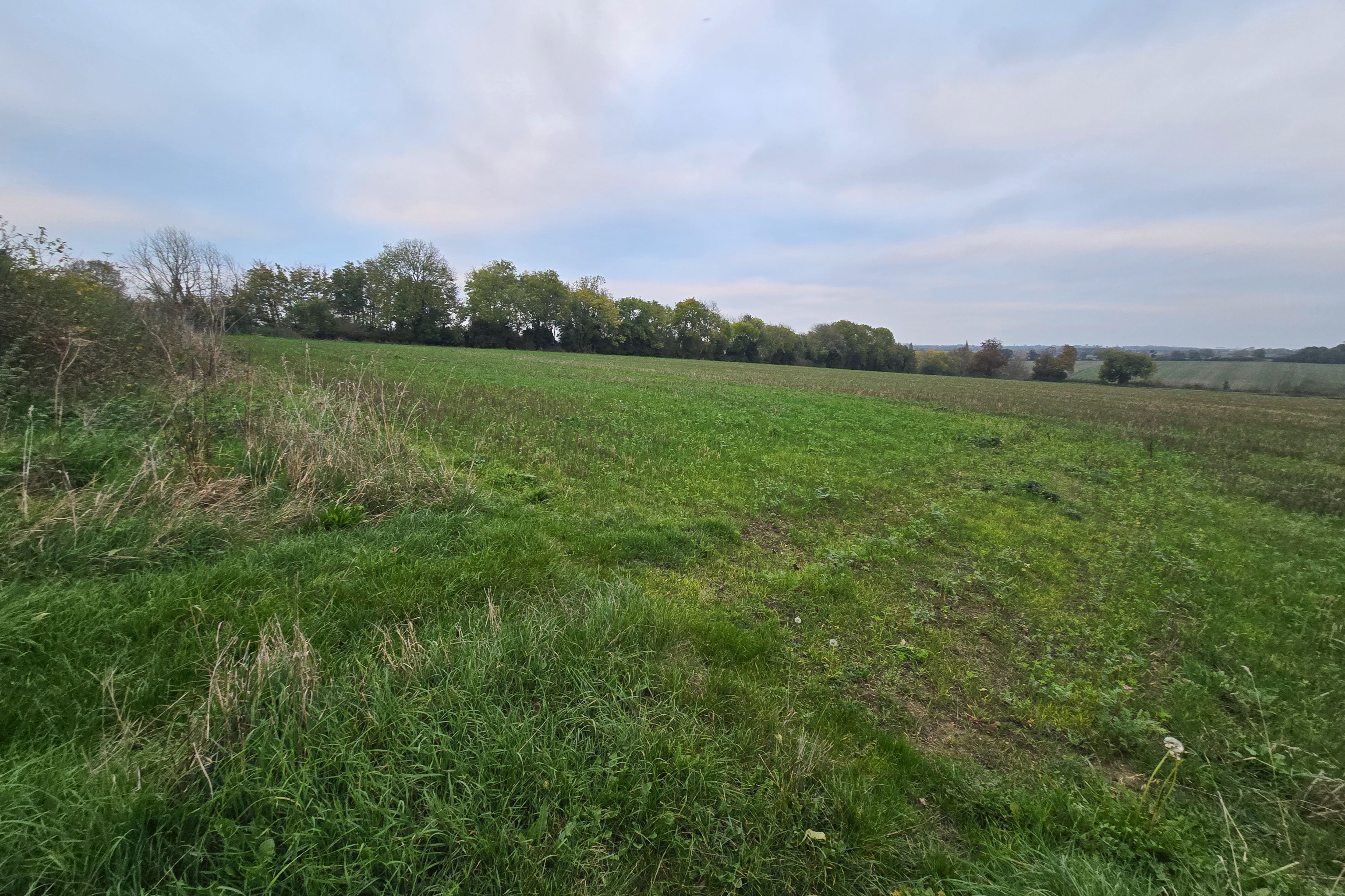Land at Farndish, Wellingborough NN29 7HJ