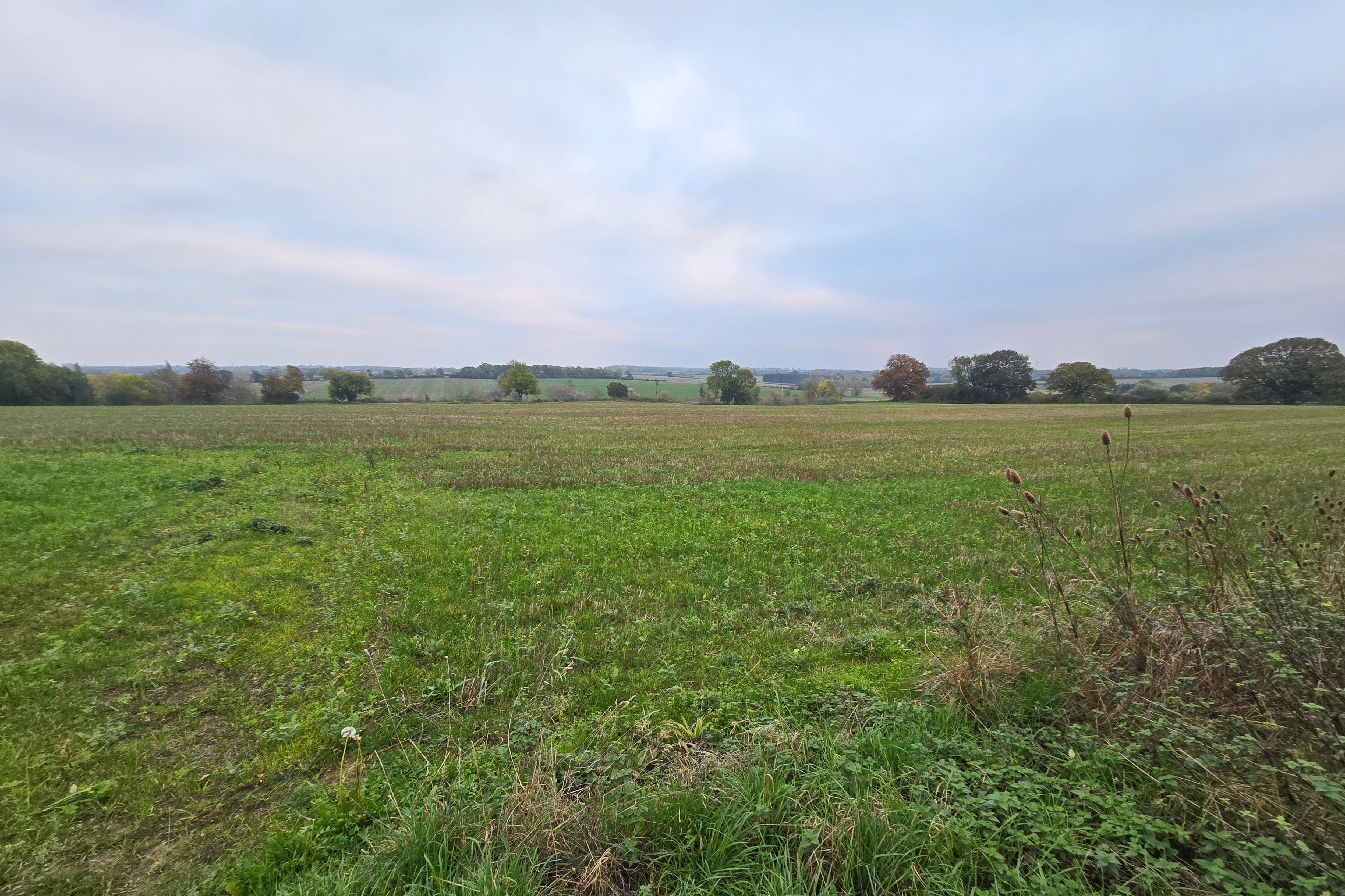 Land at Farndish, Wellingborough NN29 7HJ