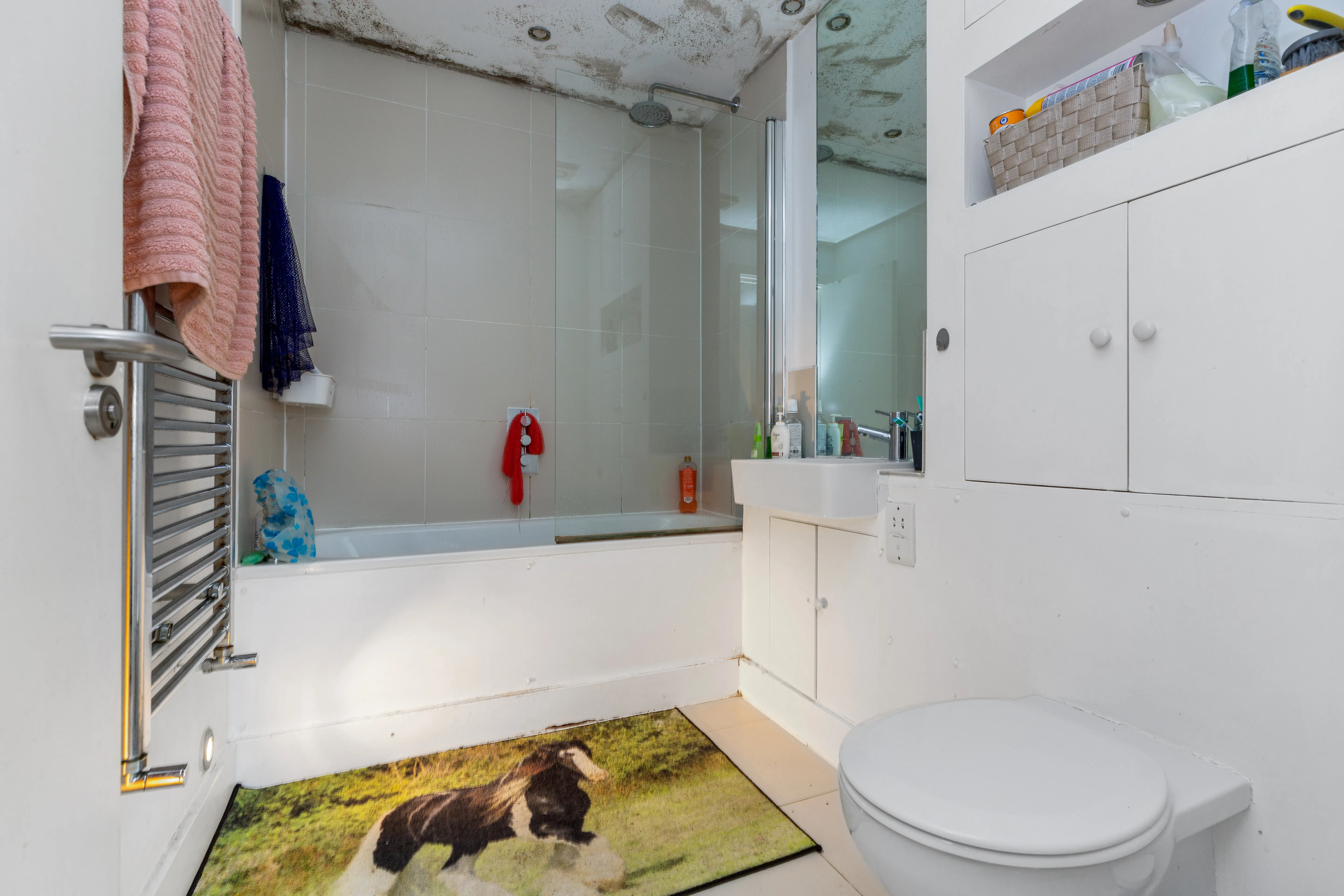149 Maple Road, Penge, London SE20 8HU