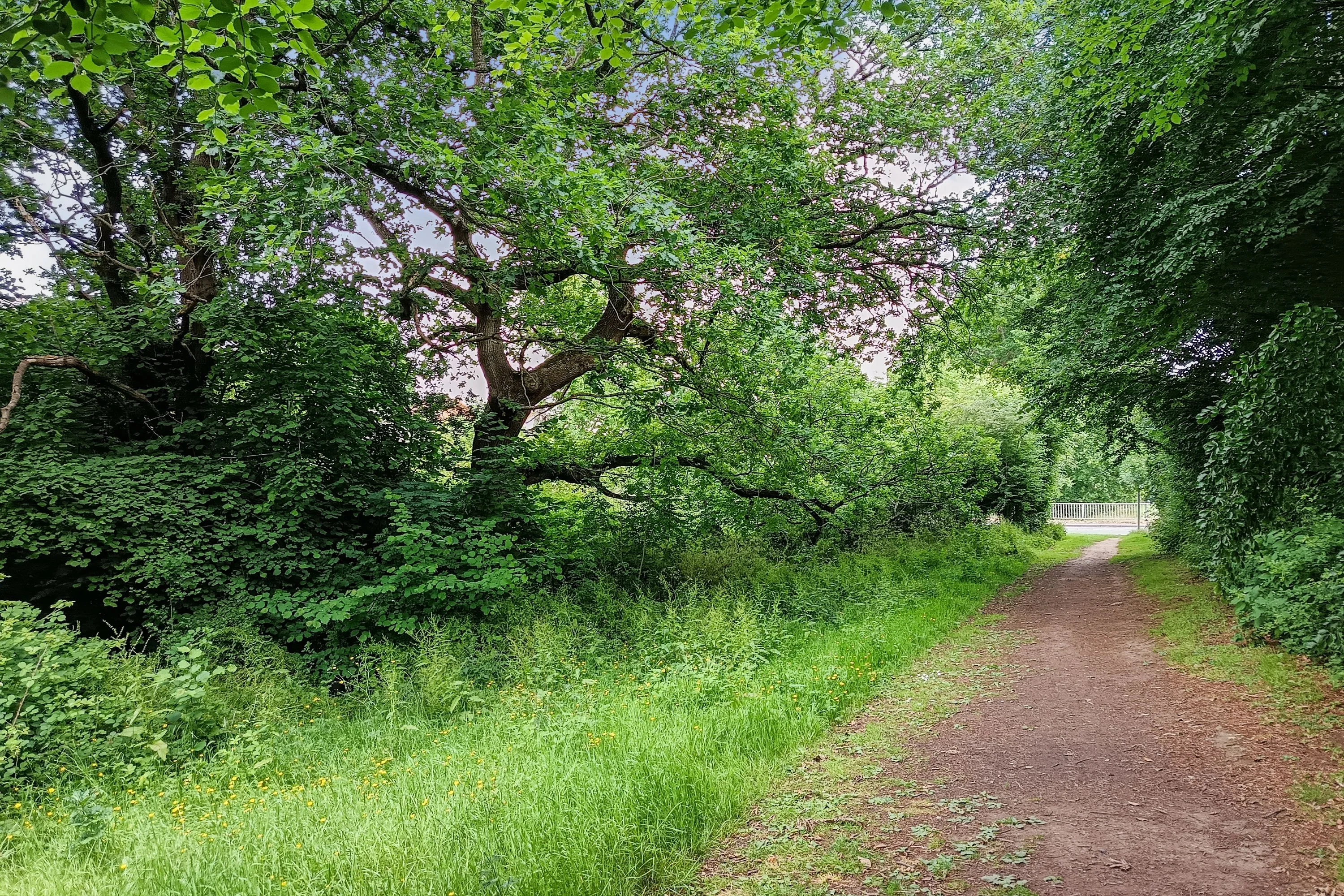 Land at Trendlewood Way, Nailsea, Bristol, Avon, BS48 4TG