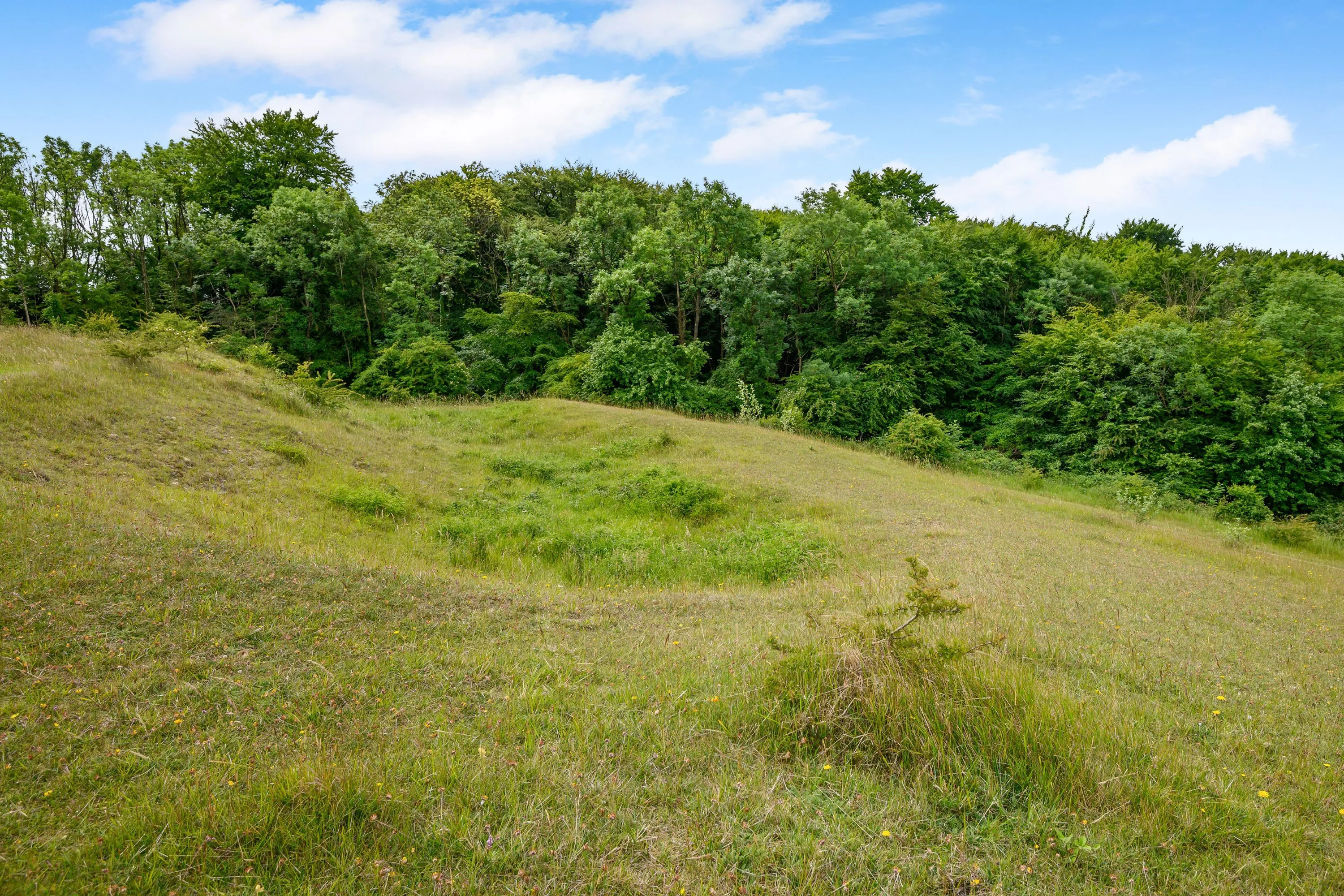 Land at Cleeve Hill, Cheltenham, GL54 4EU